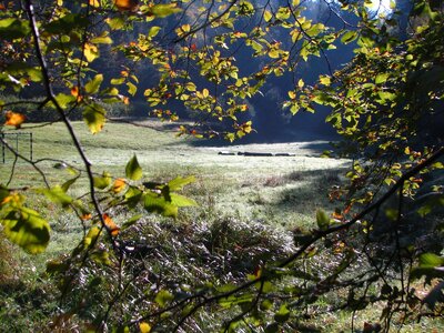 Hollertal-Herbstimpressionen 004_1600x1200.jpg