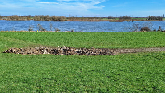 Niederrhein 03.03.2024.jpg