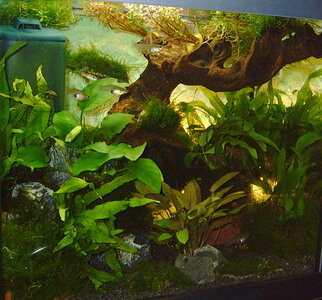 30L TetraAquaArt.jpg