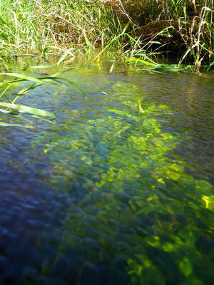 unterwasser.jpg