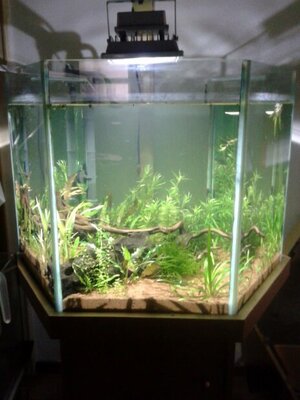 LED_Fluter_Tank_18.02.2012.jpg