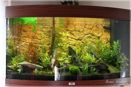 comp_Aquarium0011big[1].jpg