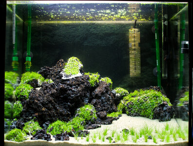 Aquarium 20-11-2012.jpg