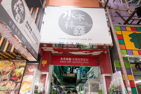 20130427-013.jpg