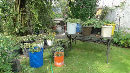 DSC01519.JPG