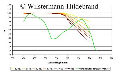 Lichtverlust_Wassertiefe.jpg