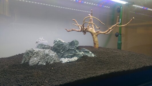 hardscape04.jpg