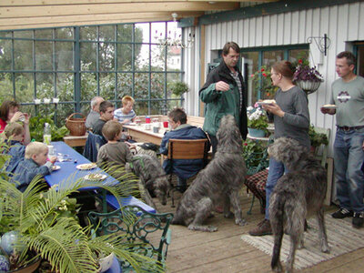 bei Moses auf der Veranda 031 kopie.JPG