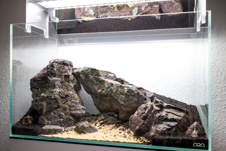 Hardscape and substrate finished.jpeg