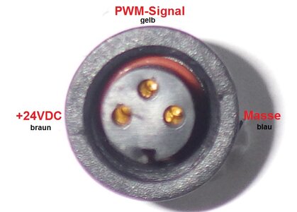 Leuchtenstecker.JPG