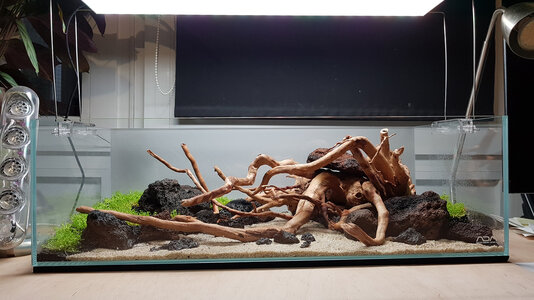 hardscape1.jpg