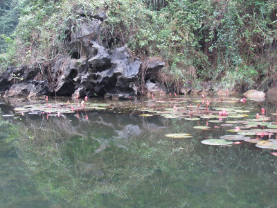 ninh-binh.2.jpg