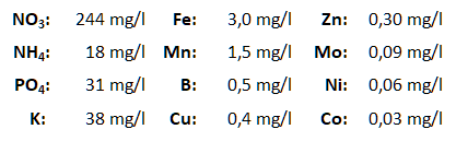 Sukkulenten.png