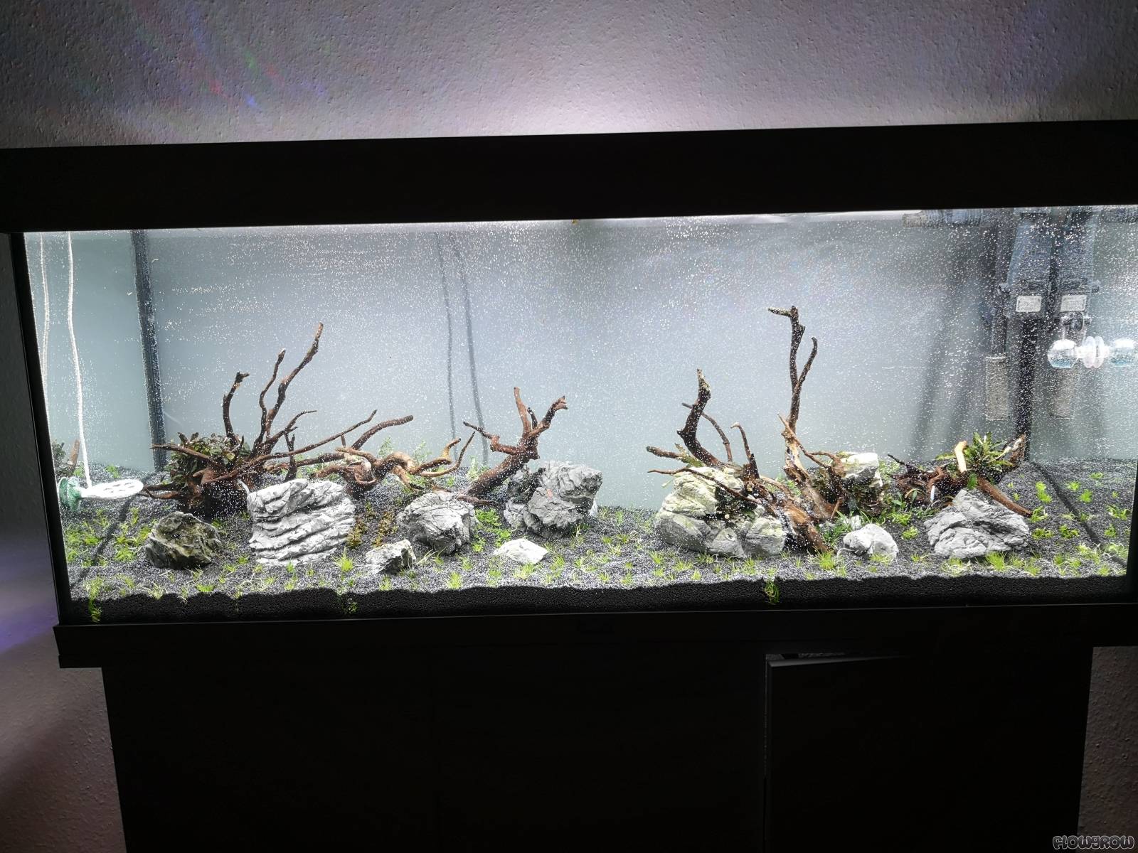 Miniatur Scape - Flowgrow Aquascape/Aquarien-Datenbank