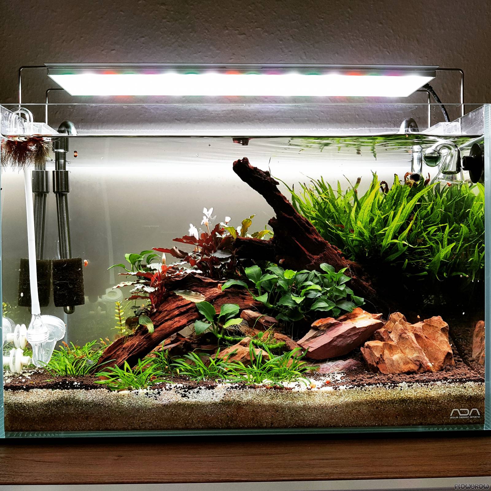 Oase 45p Flowgrow Aquascape/Aquarium Database