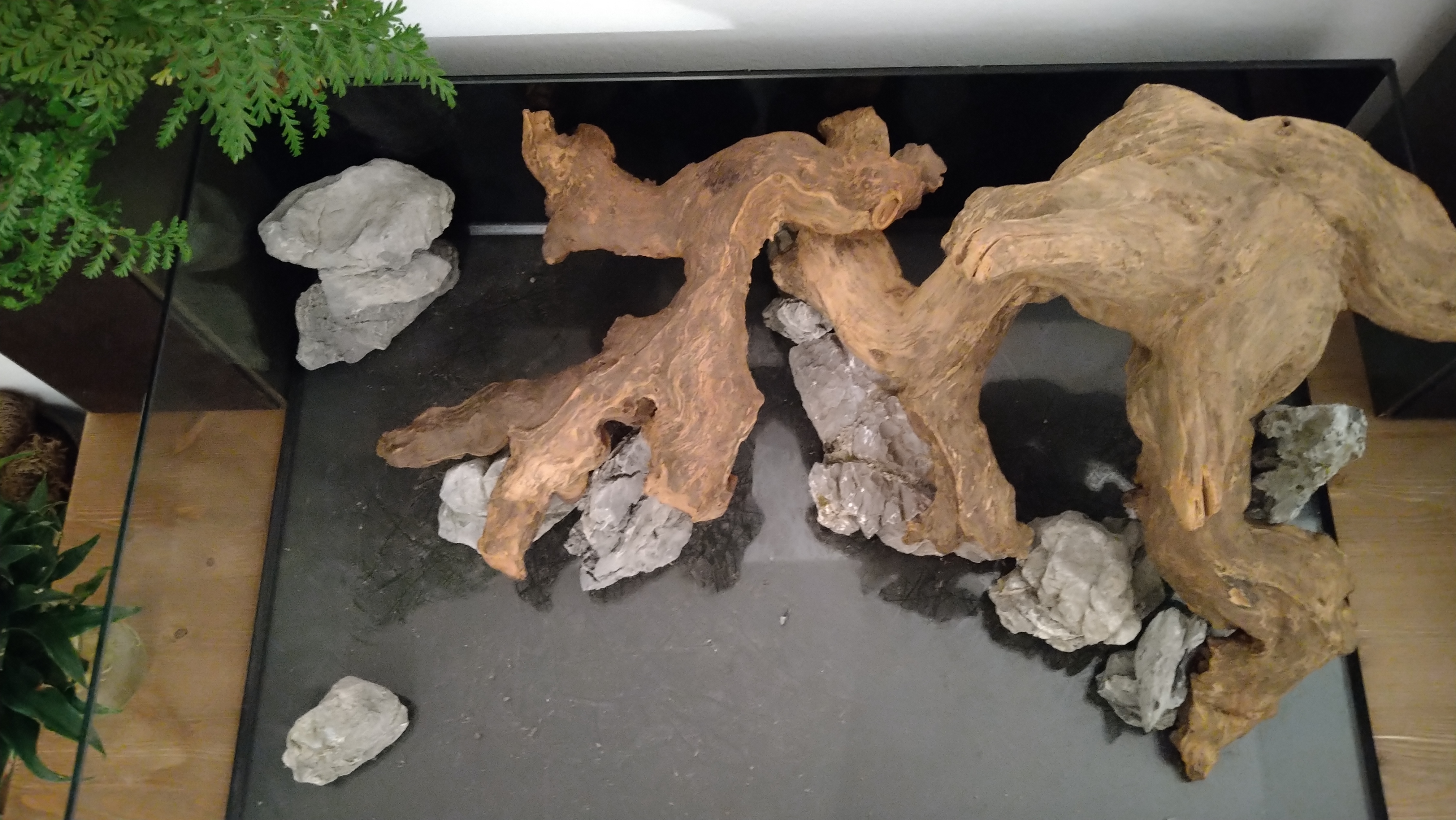 Hardscape Draufsicht